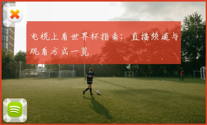 电视上看世界杯指南：直播频道与观看方式一览