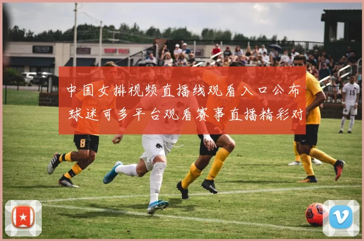 中国女排视频直播线观看入口公布 球迷可多平台观看赛事直播精彩对决