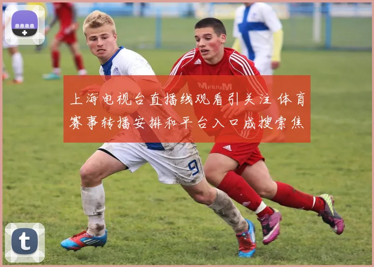 上海电视台直播线观看引关注 体育赛事转播安排和平台入口成搜索焦点