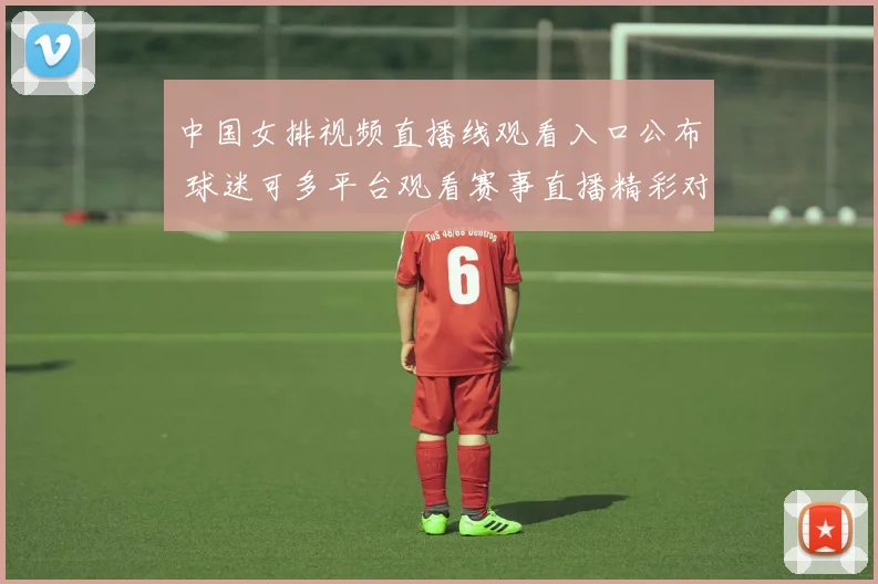 中国女排视频直播线观看入口公布 球迷可多平台观看赛事直播精彩对决